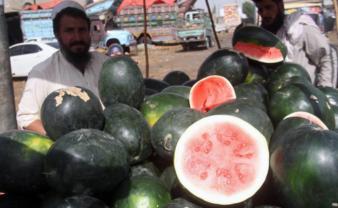 Bumper Watermelon Harvest Pushes Prices Down In Pakistan Arab News Pk