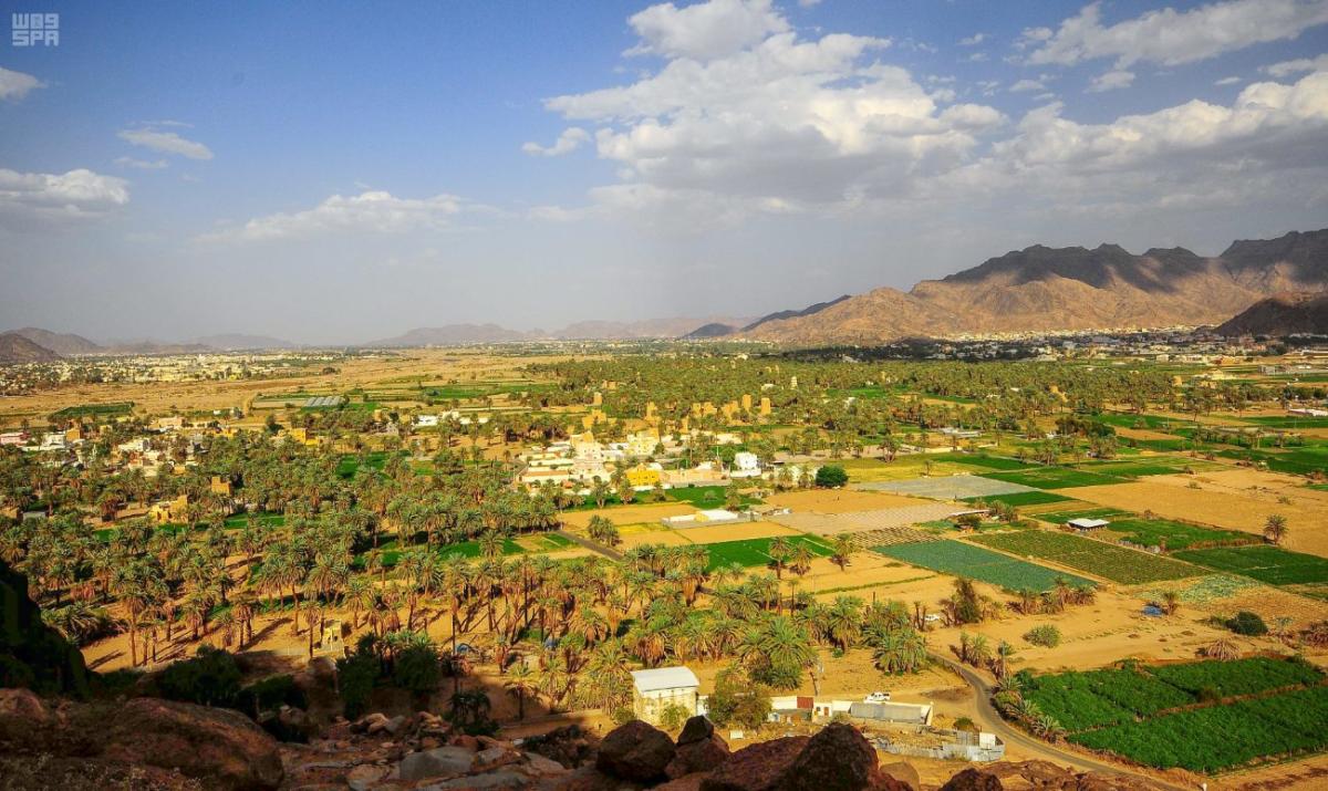 tourists-throng-to-the-saudi-arabian-city-of-najran-for-bird-s-eye