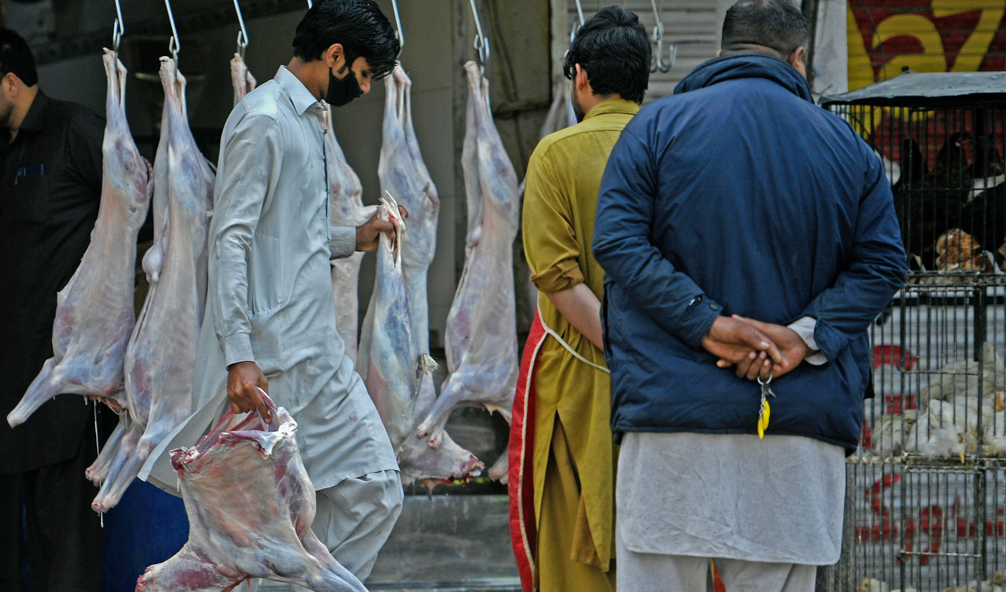 six-pakistani-companies-register-in-saudi-arabia-to-export-meat-to