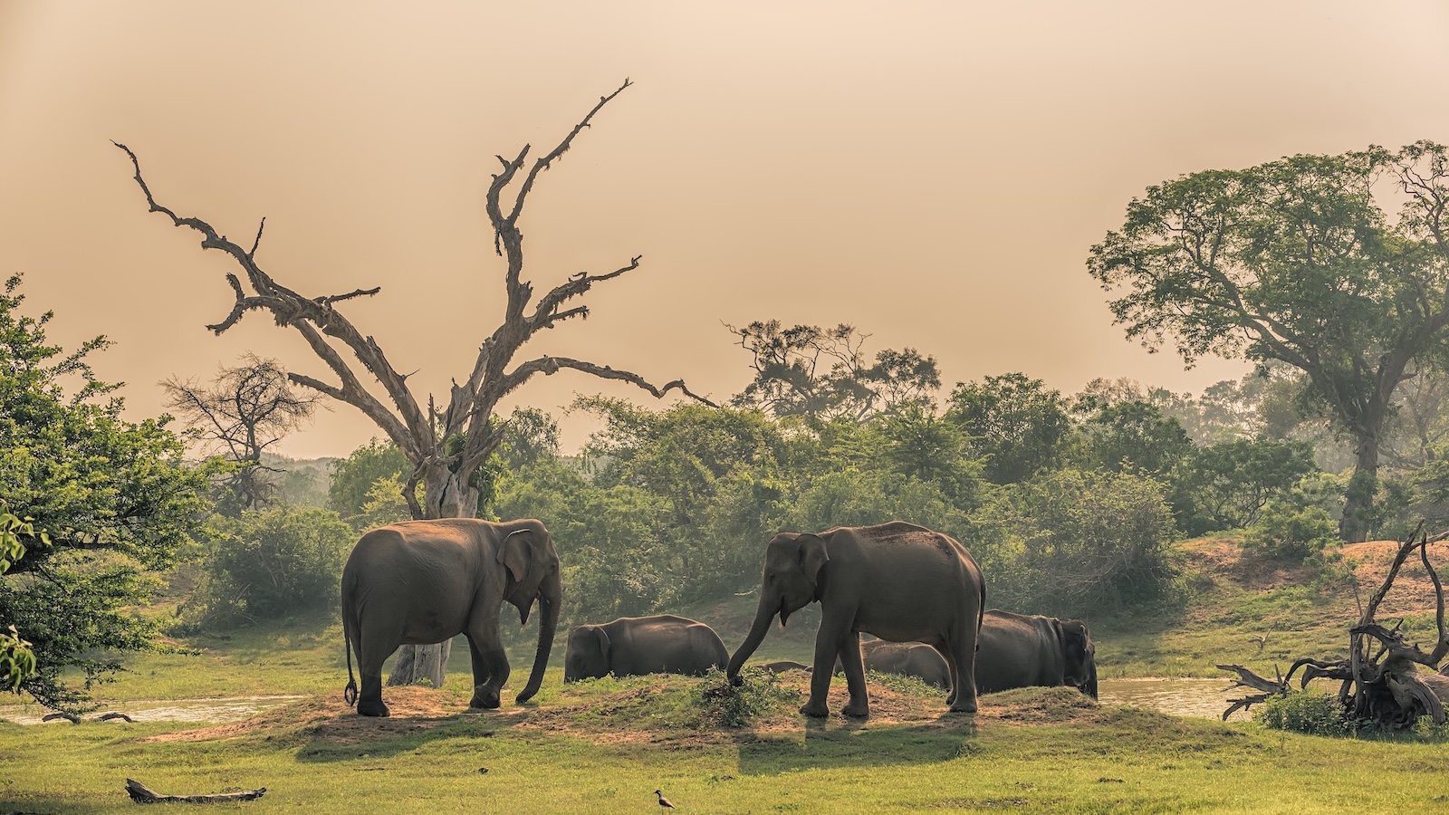 Off the beaten track in Sri Lanka