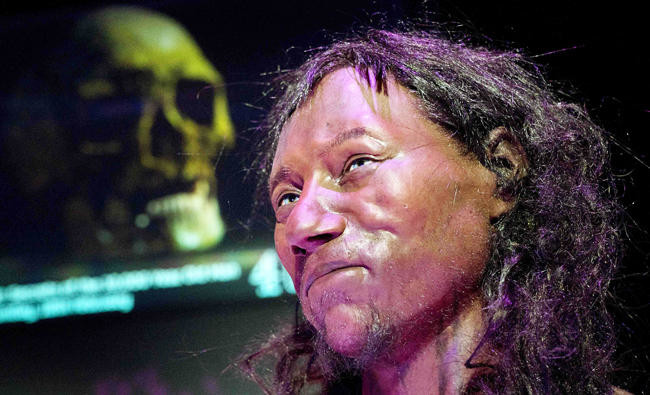 DNA shows first modern Briton had dark skin, blue eyes