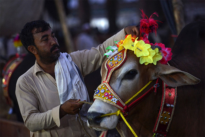 Pakistanis sacrificed animals worth around $2.5 billion on Eid Al-Adha,  tanners say | Arab News PK