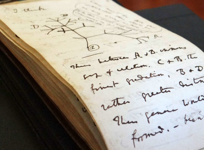 Darwin Notebooks Missing For 20 Years Returned To Cambridge | Arab News PK