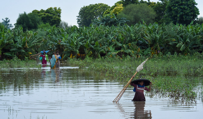 Food security at risk after Pakistan rains wipe out cotton, rice ...