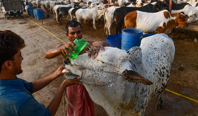 IN PHOTOS: Muslims in India gear up for Eid-ul-Adha