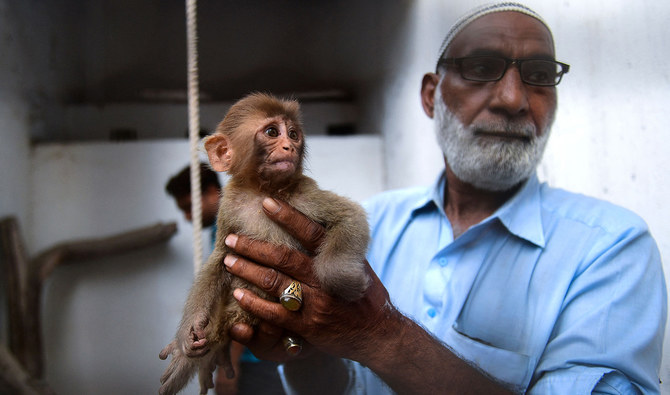 TAKE A MONKEY TO LUNCH DAY - July 21, 2024 - National Today